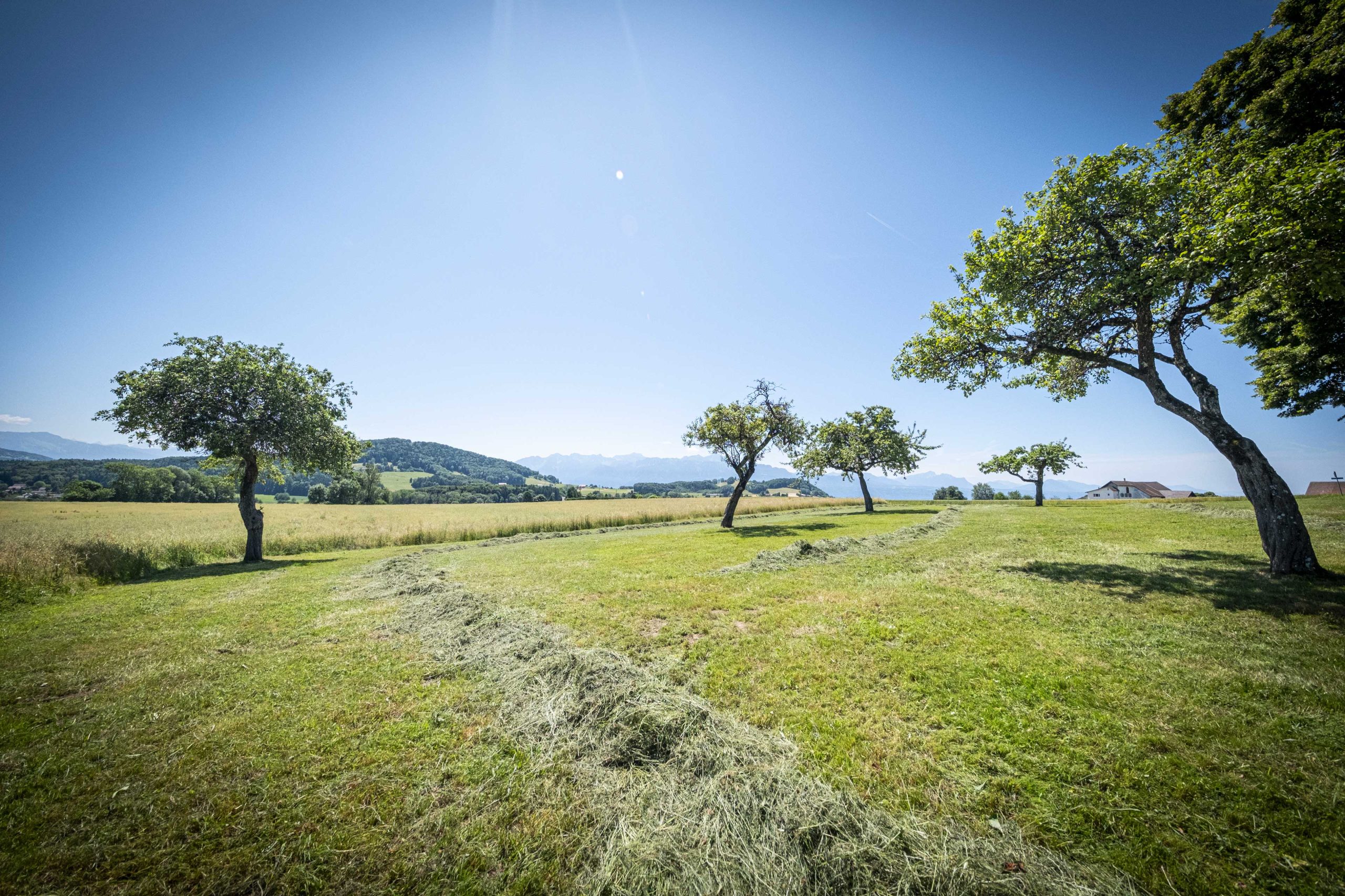 Vue de la campagne autour de Savigny.